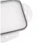 Caixa de cubos de gelo APS com tampa, transparente/cinzento, conjunto de 2, polipropileno, adequada para máquina de lavar louça 36103