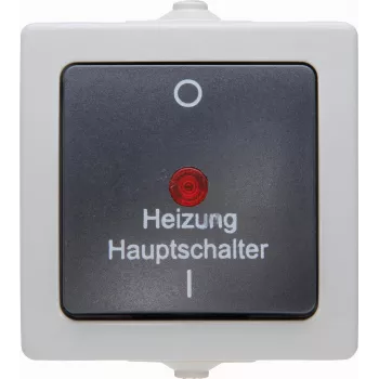 Kopp 565356002 Interruptor de comutação termoplástico preto-cinzento, encastrar, 10 A, 250 V AC