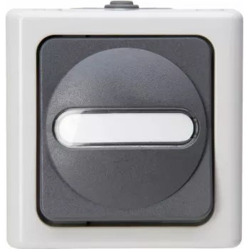 HEINRICH KOPP Interruptor universal BLUE ELECTRIC cinzento de sobrepor para locais húmidos 10A, 250V (560656006)