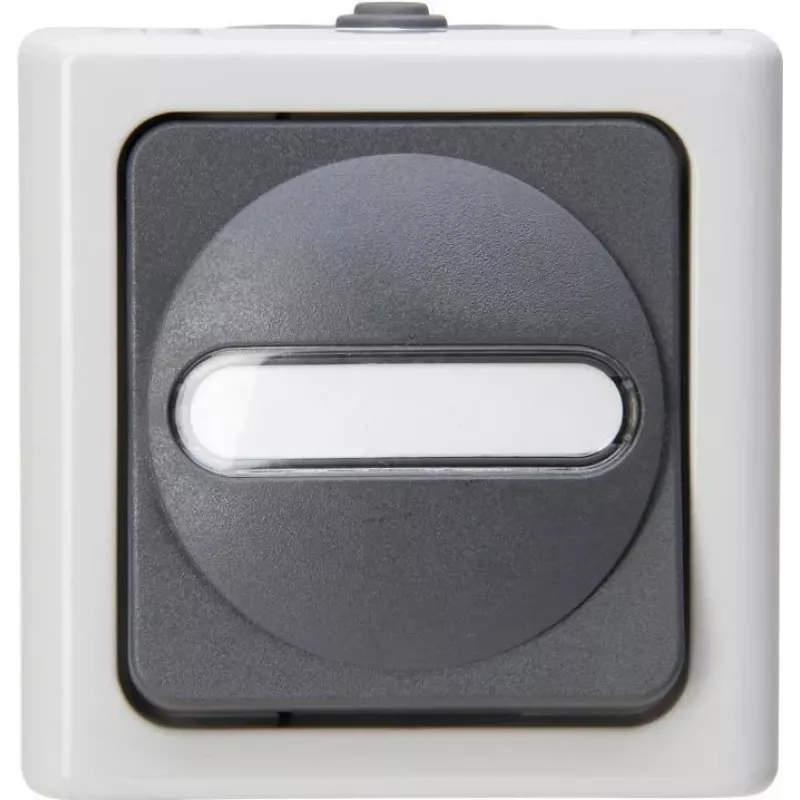 HEINRICH KOPP Interruptor universal BLUE ELECTRIC cinzento de sobrepor para locais húmidos 10A, 250V (560656006)