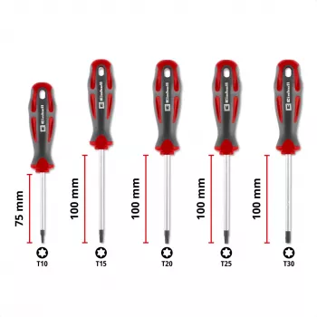 Einhell Conjunto de chaves de fendas Torx universal T10-T30, 5 peças, pontas magnéticas, aço cromo-vanádio, cabos ergonómicos bi-material, oficina e bricolage 370537