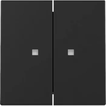Gira System 55 Tampa de tecla, 2 módulos, para função de controlo, preto mate 3631005