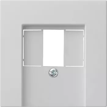 Gira System 55 placa de cobertura para TAE e USB, cinzento 0276015