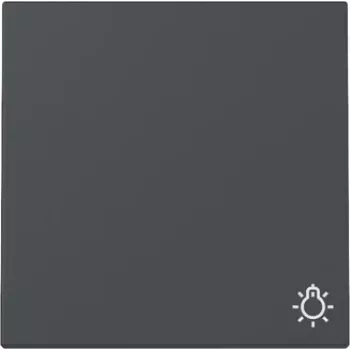 Gira System 55 Tampa de tecla com símbolo de luz, antracite mate 328528