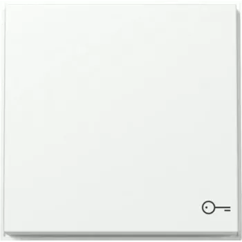 Gira TX44 Tecla com símbolo de porta, branco puro acetinado 328766