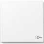 Gira TX44 Tecla com símbolo de porta, branco puro acetinado 328766