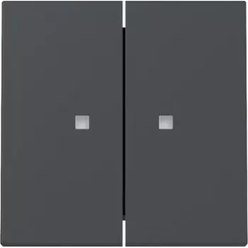 Gira System 55 Tampa de interruptor de tecla dupla com janela de controlo, antracite mate 363128