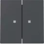 Gira System 55 Tampa de interruptor de tecla dupla com janela de controlo, antracite mate 363128