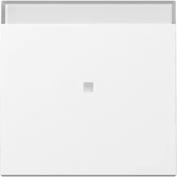 GIRA System 55 Tecla com janela de controlo e símbolo BSF, branco puro acetinado 367003