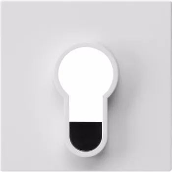 Tampa Gira para interruptor de chave, System 55, branco puro brilhante, 55 x 55 mm 866403