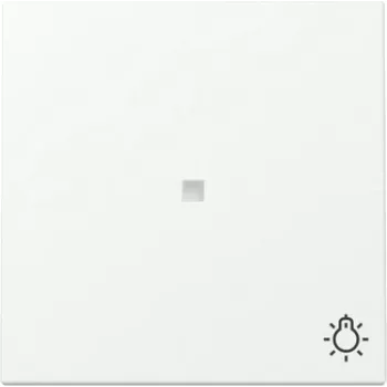 Tecla GIRA com função de controlo e símbolo de luz, System 55, branco mate (367427)