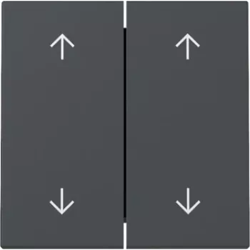 GIRA Tecla 329728 setas de 2 vias System 55 antracite