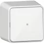 Interruptor de basculante GIRA 311613 com função de controlo, comutador, saliente, branco puro