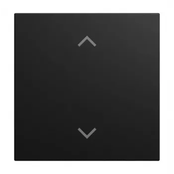 Busch-Jaeger Tampa de Tecla 1 Módulo Preto Mate 2CKA006199A0548