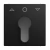 Busch-Jaeger Busch-balance SI placa central com símbolo seta cima/baixo, preto mate 2CKA001710A4259