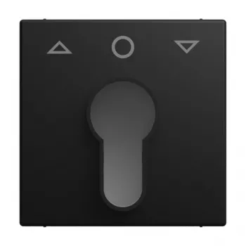 Busch-Jaeger Busch-balance SI placa central com símbolo seta cima/baixo, preto mate 2CKA001710A4259