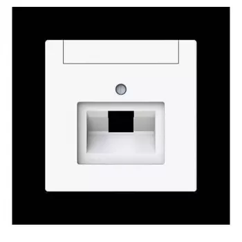 BUSCH-JAEGER placa central 1803-44G 1 tomada para UAE com campo de identificação (2CKA001710A4219)