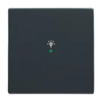 Busch-Jaeger Tecla de 1 módulo com símbolo de luz, branco alpino (6220-0-0035)