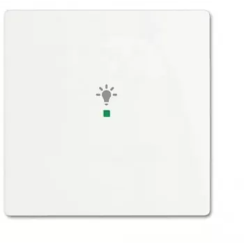 Busch-Jaeger Tecla Studio branco mate 6220-0-0482