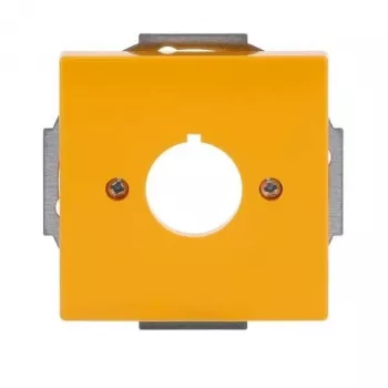 Placa central de cobertura Busch-Jaeger future® linear, amarelo, 1 módulo, para mecanismos de tecla 2CKA001724A4382