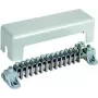 DEHN barra de ligação equipotencial 13x2.5-25 1x16-95 563030