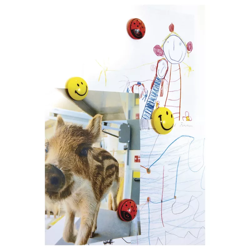 Magnetoplan 16672 Ímanes para quadro Smiley Ø 30 mm, 6 peças