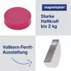 MAGNETOPLAN HOLTZ Íman Ergo Medium 1664018 30mm rosa 10 unidades