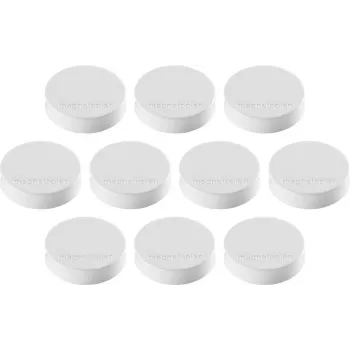 Ímanes Ergo medium Magnetoplan íman de ferrite branco, 30 mm, 1 unid. 1664000