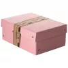Caixa de arquivo FALKEN PURE 1250 folhas rosa pastel 18,0 x 25,0 x 10,0 cm, 1 unid. 22001896000F