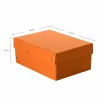 Caixa de arquivo FALKEN PURE 1250 folhas laranja-pastel 18,0 x 25,0 x 10,0 cm, 1 unid. (22001848000F)