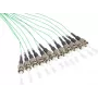 GoodConnections Alcasa LW-802PT Cabo de fibra ótica 2 m 12x ST turquesa (LW-802PT)