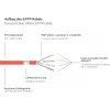 GoodConnections 8070VR-100R Cat.7 S/FTP RJ45 extensão de cabo patch, PiMF, livre de halogéneos, 600 MHz, OFC, proteção de patilha RNS, 10 m, vermelho