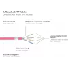GoodConnections 8070R-400M Cat.7 S/FTP RJ45 cabo patch, PiMF, livre de halogéneos, 600 MHz, OFC, proteção de patilha RNS, 40 m, magenta