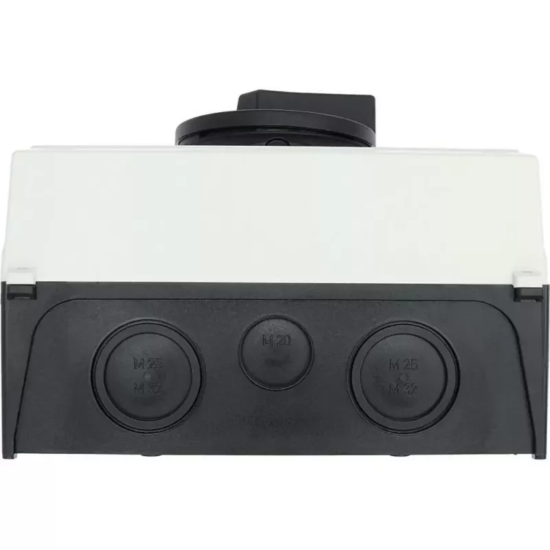 Interruptor principal Eaton P3-63/I4/SVB-SW 3 polos 63 A 207344