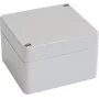 Bopla EUROMAS T 206 Caixa universal 65 x 50 x 37 mm ABS Cinzento-claro IP65 63206000