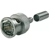 Telegärtner J01002A0058 ficha BNC para cabo G04, de crimpagem, HDTV, 75 Ohm, para RG-179B/U