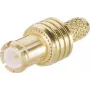 TELEGÄRTNER conector reto MCX 50 Ohm cravar/soldar para RG174/RG188/RG316