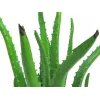 Planta artificial de aloé vera EUROPALMS em vaso preto, 63cm 82809112