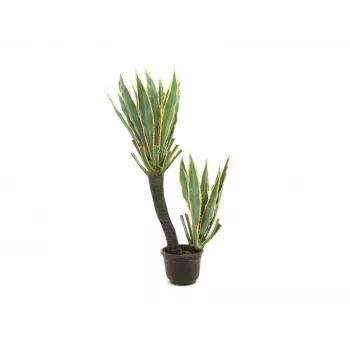 EUROPALMS planta artificial cato orquídea, 160cm 82809035