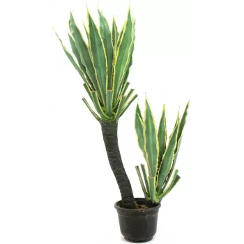 EUROPALMS planta artificial cato orquídea, 160cm 82809035