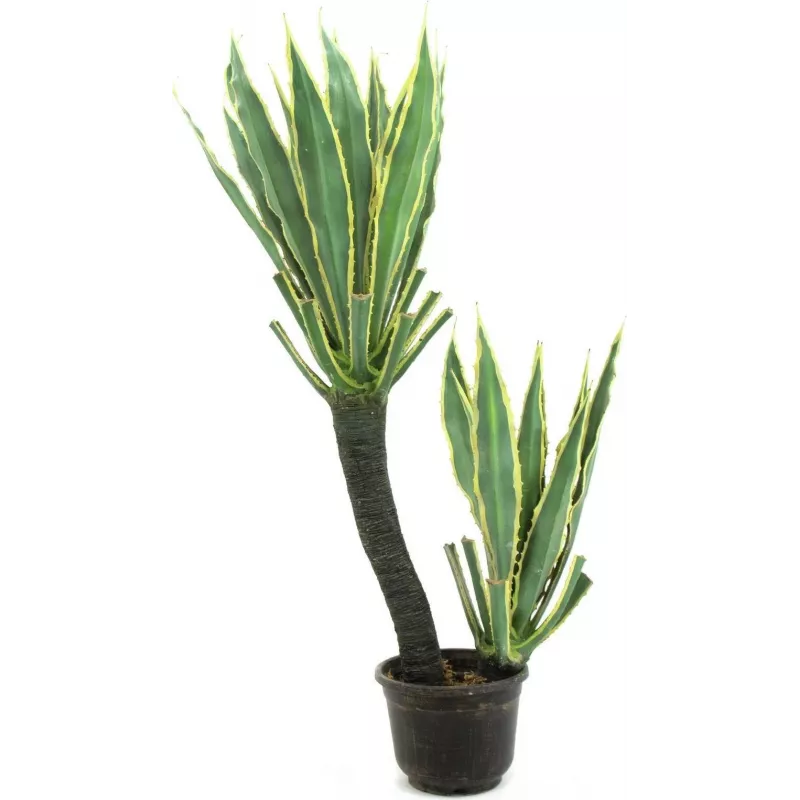 EUROPALMS planta artificial cato orquídea, 160cm 82809035