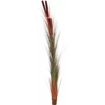 EUROPALMS cana artificial com espigas, castanho-claro, 152cm 82505856