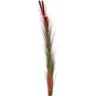 EUROPALMS cana artificial com espigas, castanho-claro, 152cm 82505856