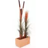 EUROPALMS cana artificial com espigas, castanho-claro, 152cm 82505856