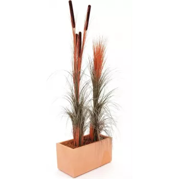 EUROPALMS cana artificial com espigas, castanho-claro, 152cm 82505856