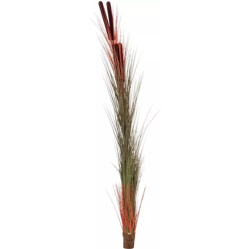 EUROPALMS cana artificial com espigas, castanho-claro, 152cm 82505856