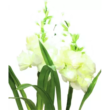 EUROPALMS Aronstab, conjunto de 3 com LEDs, branco, 85 cm (83330302)