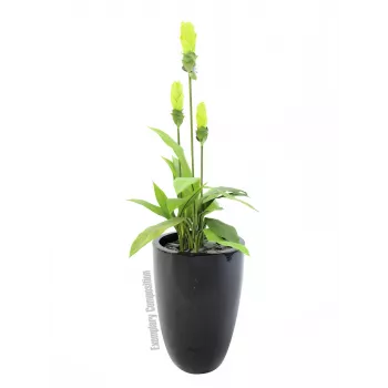 Europalms LEICHTSIN CUP-69 Vaso, Preto, brilhante (83011819)