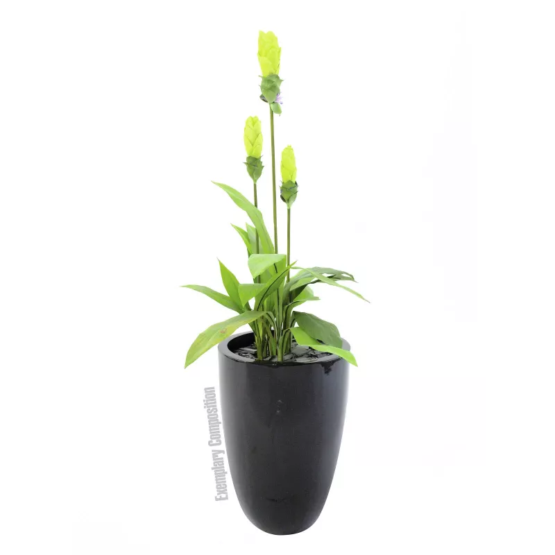 Europalms LEICHTSIN CUP-69 vaso para plantas, preto, brilhante (83011819)
