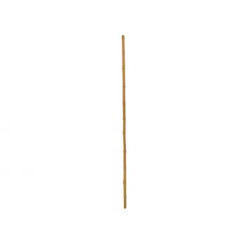 EUROPALMS Cana de Bambu, Ø 3 cm, comprimento 200 cm 83313200